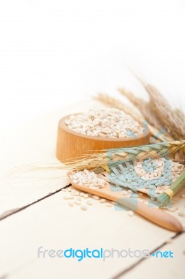 Organic Barley Grains Stock Photo