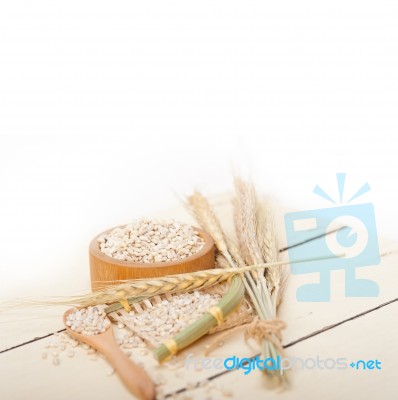 Organic Barley Grains Stock Photo