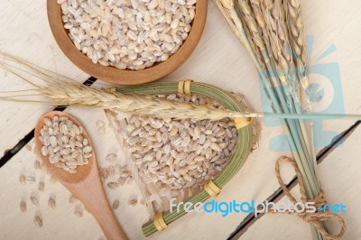 Organic Barley Grains Stock Photo