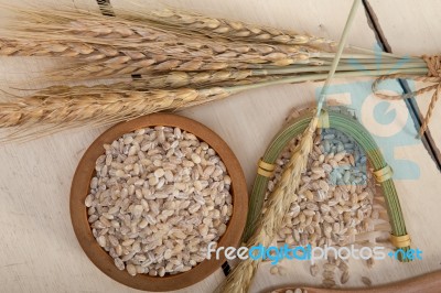 Organic Barley Grains Stock Photo