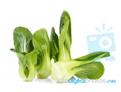 Organic Bok Choy Isolated On White Background Stock Photo