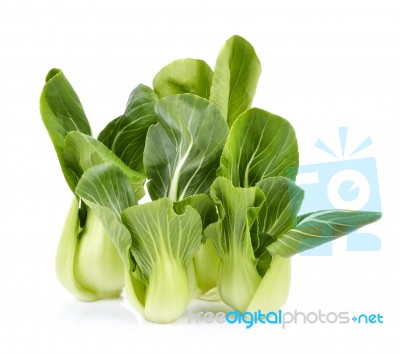 Organic Bok Choy Isolated On White Background Stock Photo