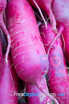 Organic Fresh Rurple Radish Up Close Stock Photo