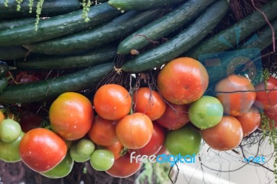 Organic Fresh Tomatoes And Zucchinis Up Close Stock Photo