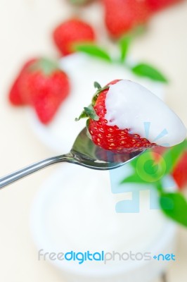 Organic Greek Yogurt And Strawberry Stock Photo