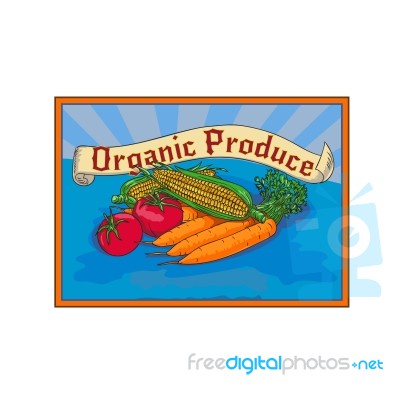 Organic Produce Crop Harvest Label Watercolor Stock Image