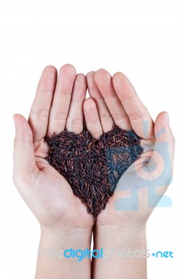 Organic Rice Heart-shaped On Palm Stock Photo