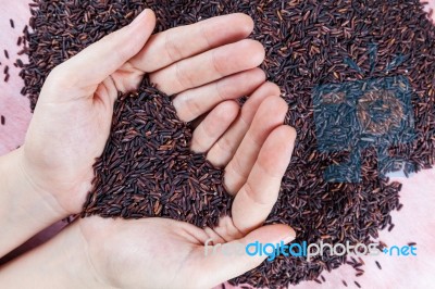 Organic Rice On Women Hand Stock Photo