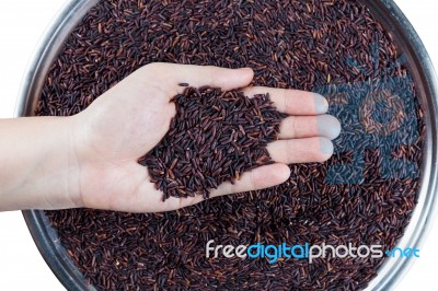 Organic Rice On Women Hand Stock Photo