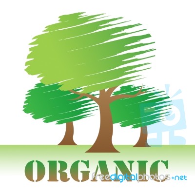 Organic Trees Indicates Woods Environment And Reforestation Stock Image