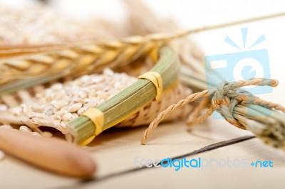 Organic Wheat Grains Stock Photo