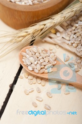 Organic Wheat Grains Stock Photo