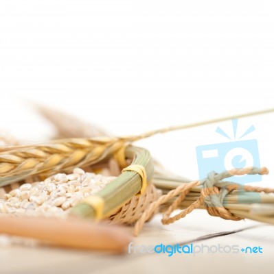 Organic Wheat Grains Stock Photo