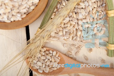 Organic Wheat Grains Stock Photo