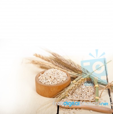 Organic Wheat Grains Stock Photo