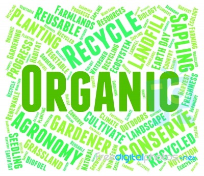 Organic Word Represents Biological Biotic And Natural Stock Image