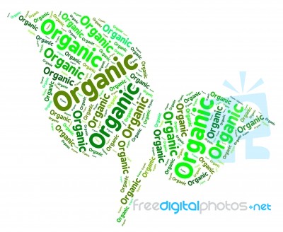 Organic Word Shows Nature Healthful And Biological Stock Image