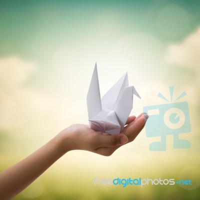 Origami Bird On Children's Hand Stock Photo