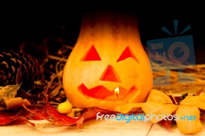 Original Decorations With Long Neck Pumpkins Halloween Stock Photo