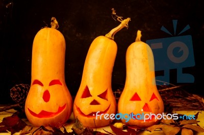 Original Decorations With Long Neck Pumpkins Halloween Stock Photo