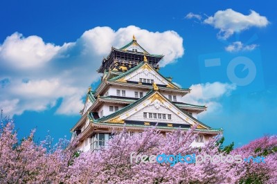 Osaka Castle And Cherry Blossom In Spring. Sakura Seasons In Osaka, Japan Stock Photo