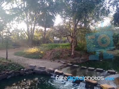 Osho Park Pune Stock Photo