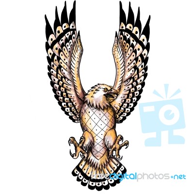 Osprey Swooping Front Tattoo Stock Image