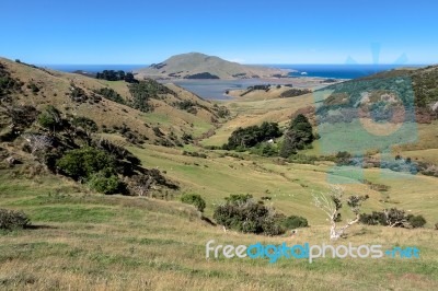 Otago Peninsula Stock Photo