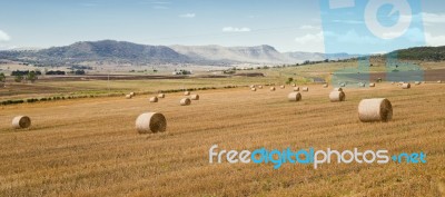 Outback Agricultural And Farming Field Stock Photo