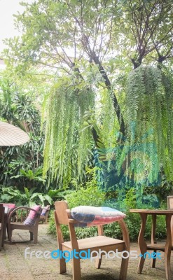 Outdoor Wooden Chair In The Garden Stock Photo