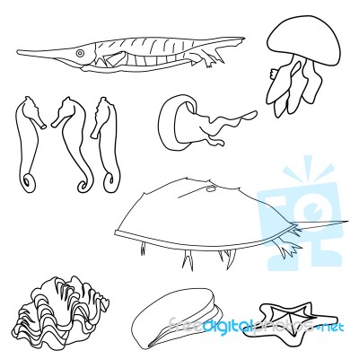 Outlined Sea Life Stock Image