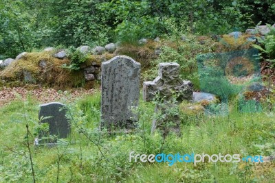 Overgrown Graveyard Stock Photo