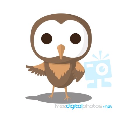 Owl Stock Image