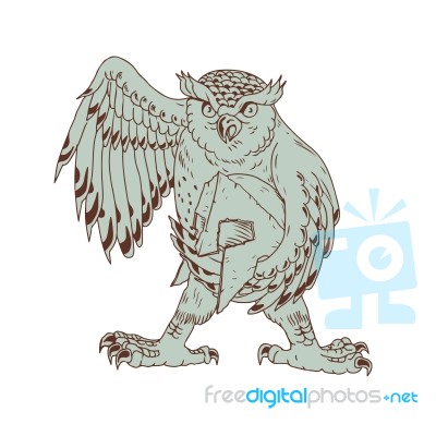 Owl Holding Spartan Helmet Drawing Stock Image