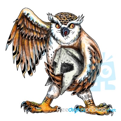 Owl Holding Spartan Helmet Tattoo Stock Image