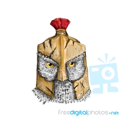 Owl Wearing Spartan Helmet Tattoo Stock Image