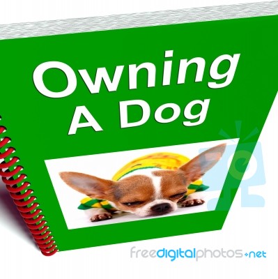 Owning A Dog Book Stock Image