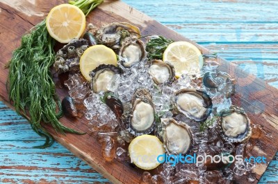 Oyster Seafood Lemon Dill Fresh Mussel Asia Appetizer Luxury Stock Photo