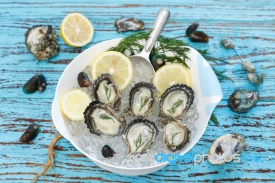 Oyster Seafood Lemon Dill Fresh Mussel Asia Appetizer Luxury Stock Photo