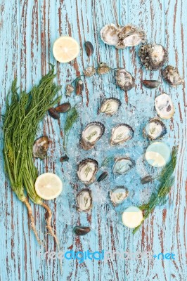 Oyster Seafood Lemon Dill Fresh Mussel Asia Appetizer Luxury Stock Photo