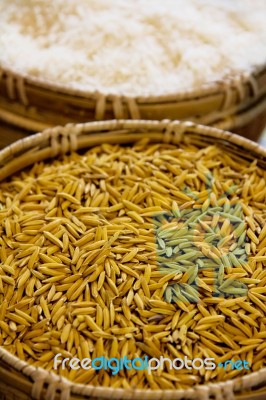 Paddy In Basket Stock Photo