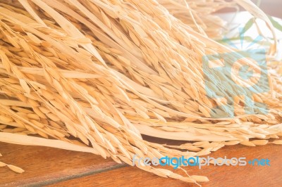 Paddy Jasmine Rice On Wooden Table Stock Photo