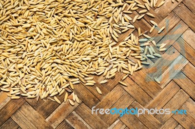 Paddy On Bamboo Mat Stock Photo