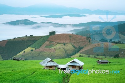 Pah Pong Piang Stock Photo