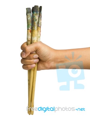 Paintbrush In Hand Stock Photo