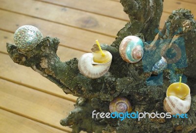 Painted Beeswax Candles Votives In Snail Shell Stock Photo