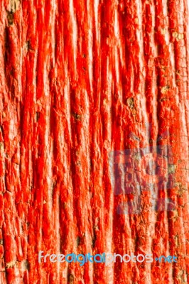 Painted Red Old Wooden Wall Texture Stock Image