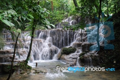 Palenque Stock Photo