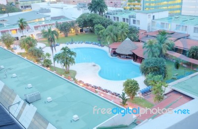 Palm And Swimming Pool Top View Stock Photo