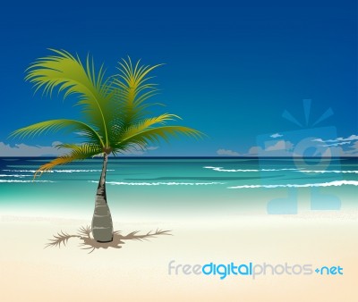 Palm And Tropical Beach Stock Image